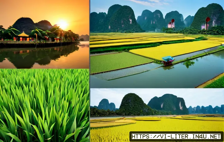 Cách lập báo cáo đánh giá học viên lớp xóa mù chữ: mẫu nội dung, tiêu chí và quy trình dễ áp dụng 4 문해교육사와 학생 평가 보고서 작성 관련 이미지 2